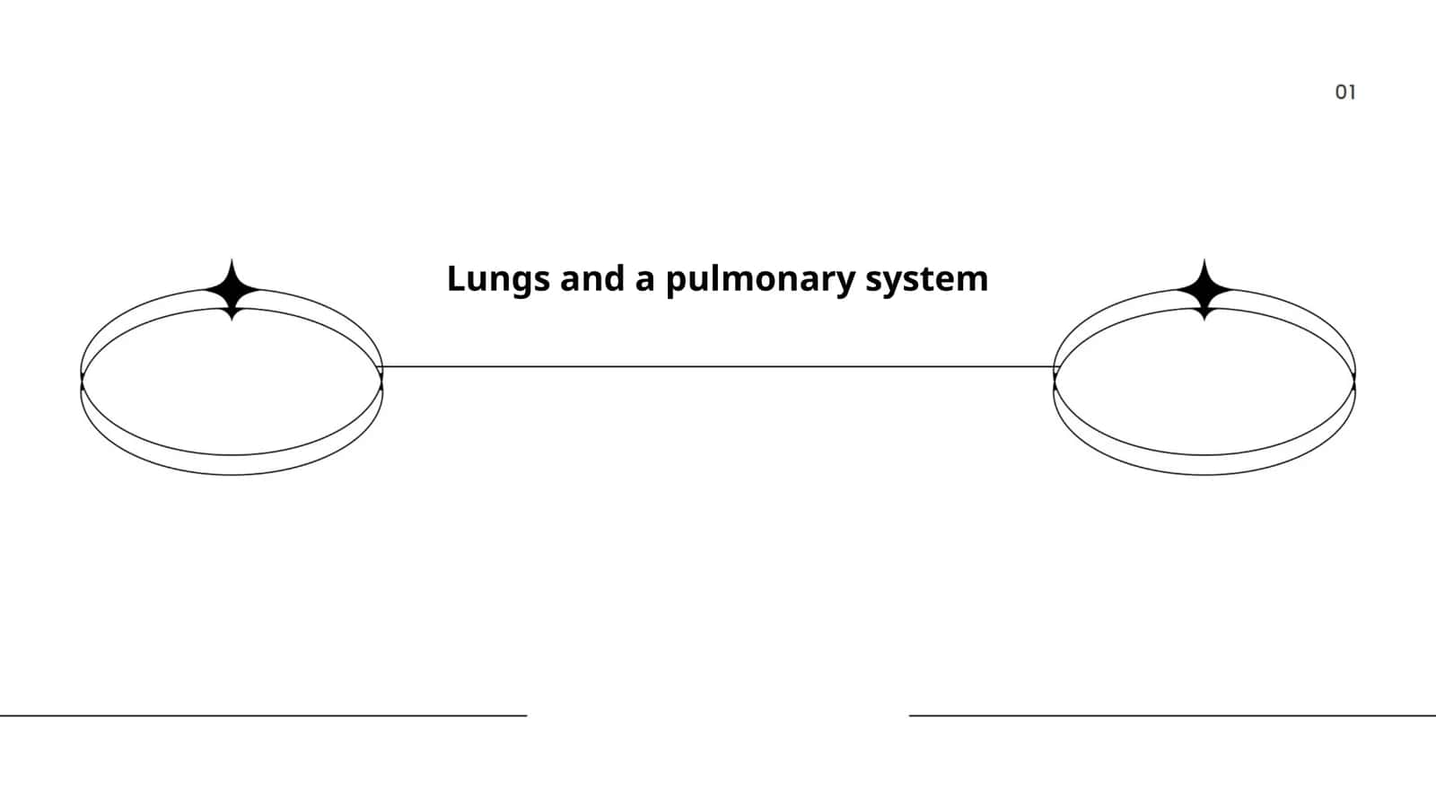 Lungs and a pulmonary system