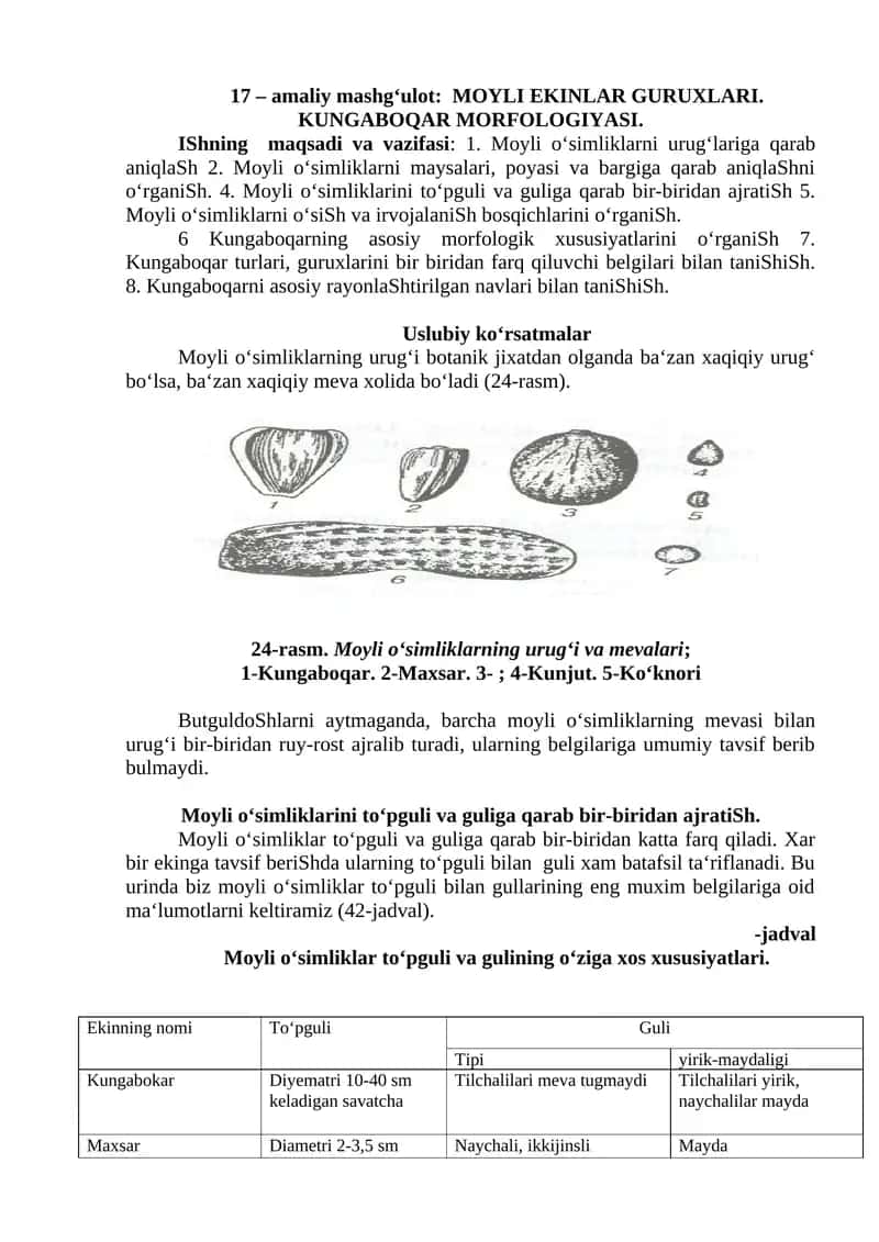 MOYLI EKINLAR GURUXLARI. KUNGABOQAR MORFOLOGIYASI
