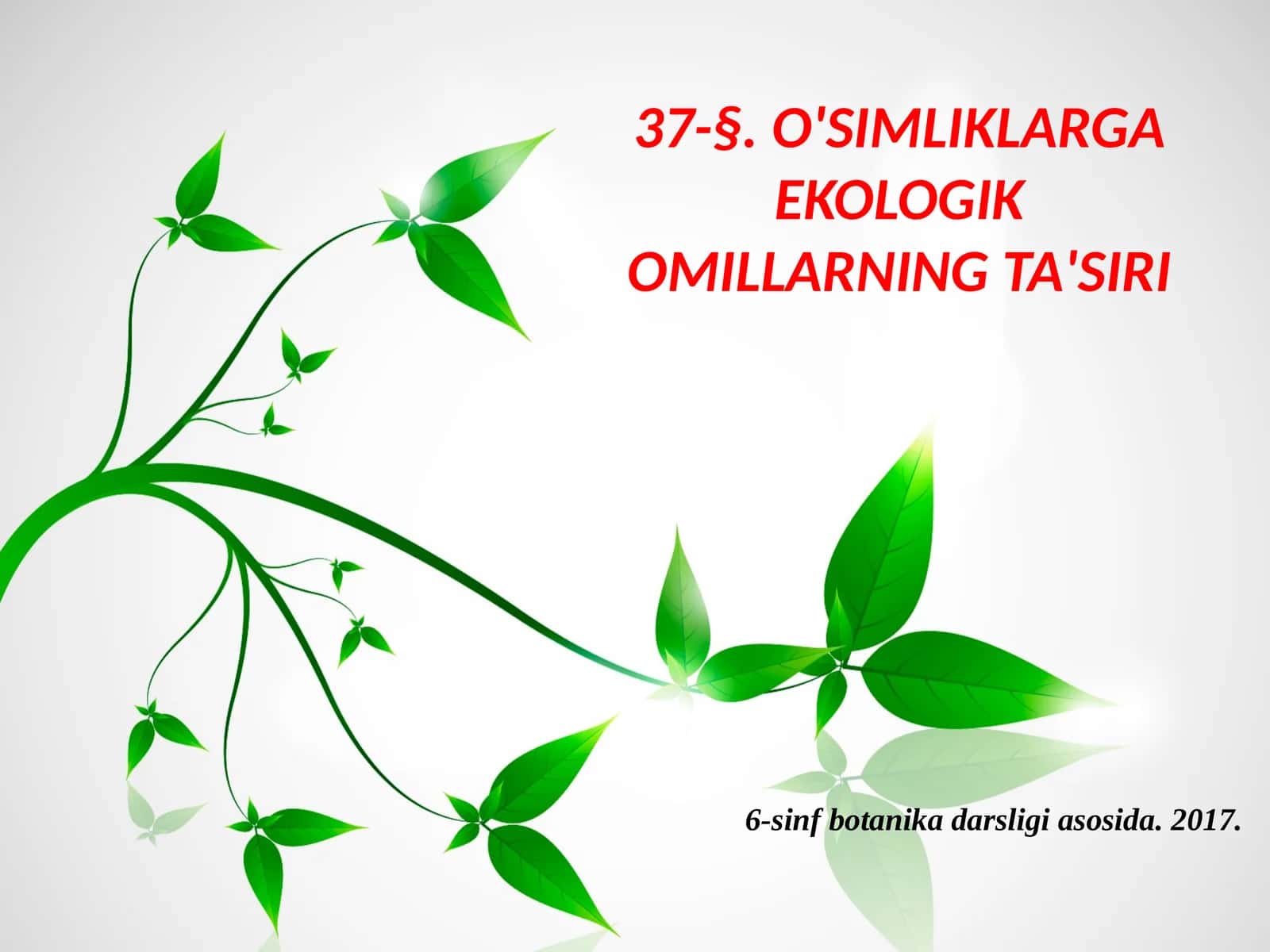 6-sinf Botanika dars ishlanma. O'simliklarga ekologik omillarning ta'siri