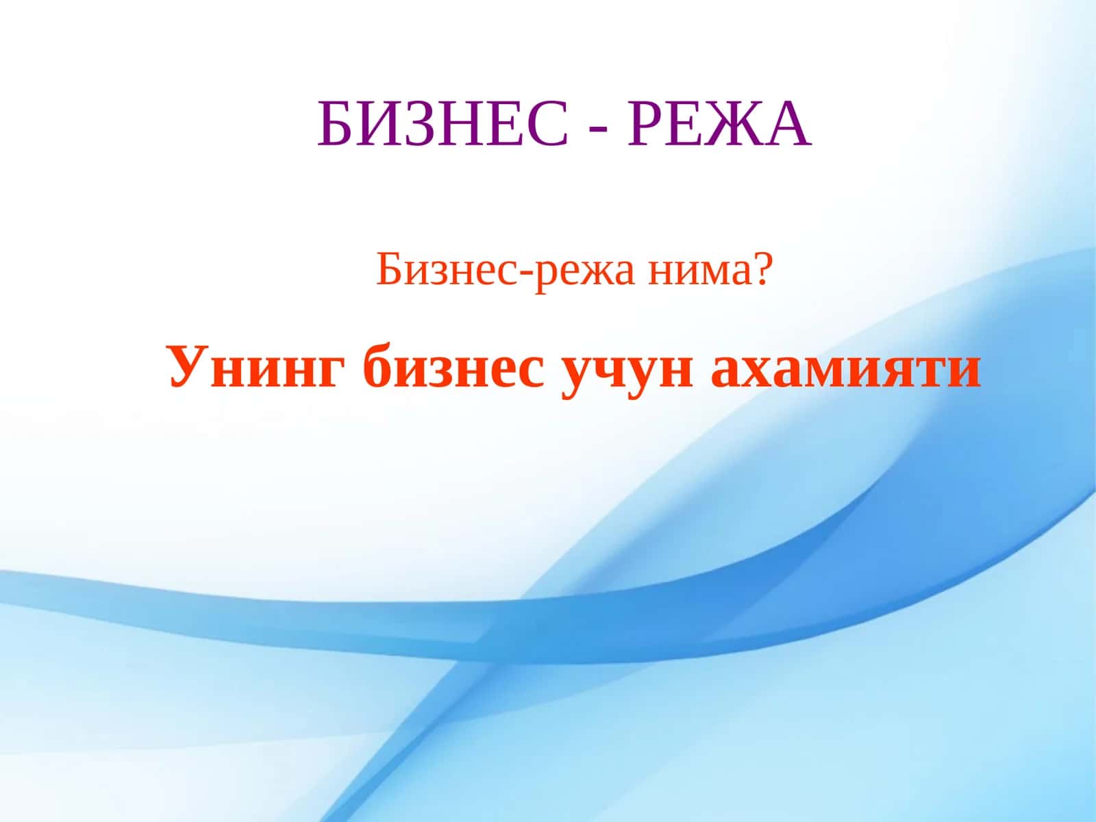 Biznes reja nimaи Biznes rejaning biznes uchun ahamiyati.