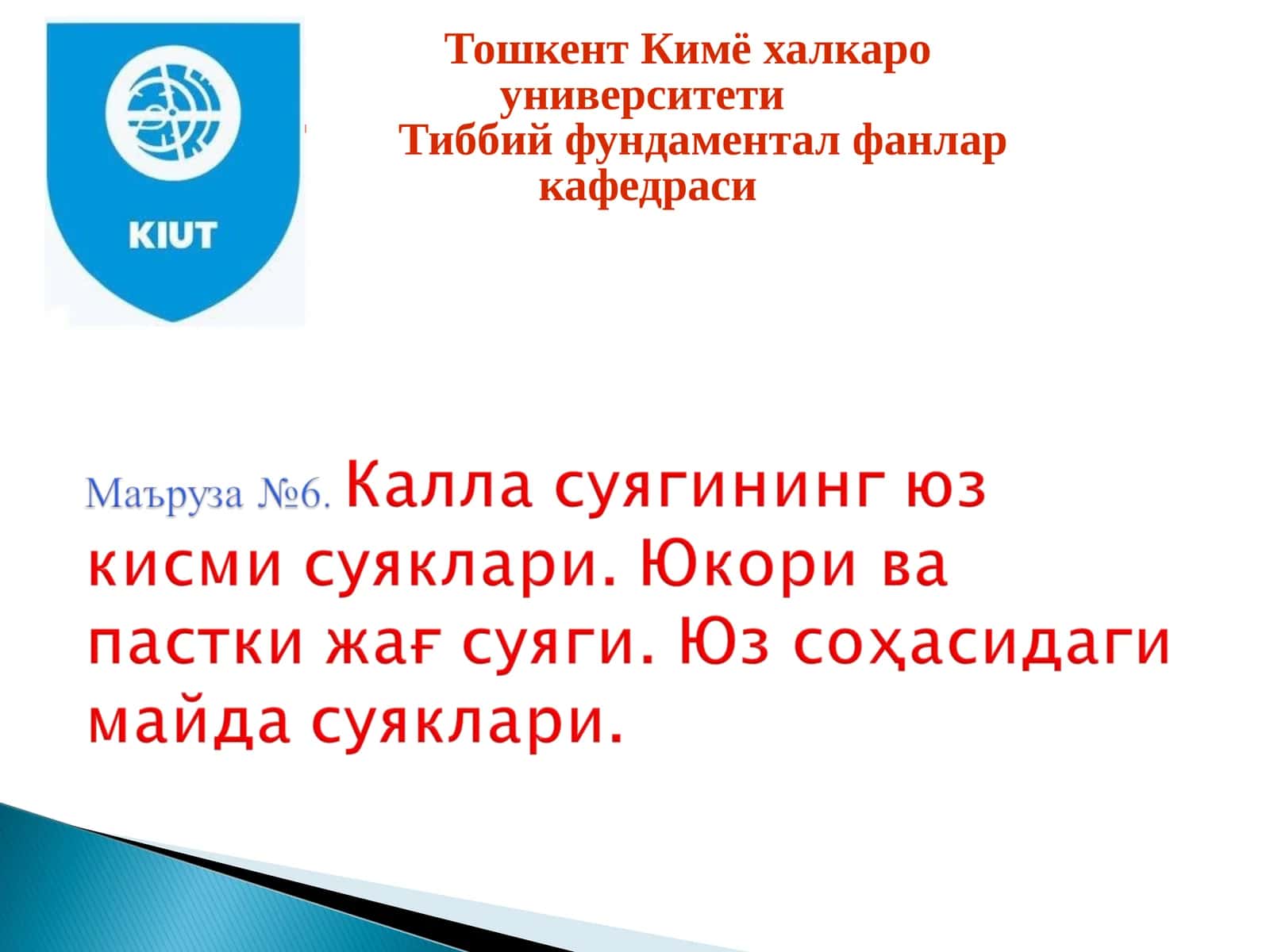 Калла суяги (cranium)