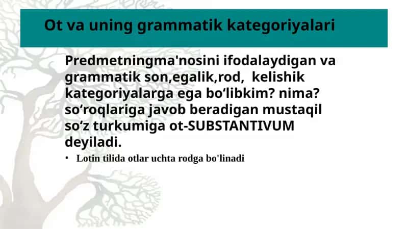 Lotin tilida otlar uchta rodga bo'linadi