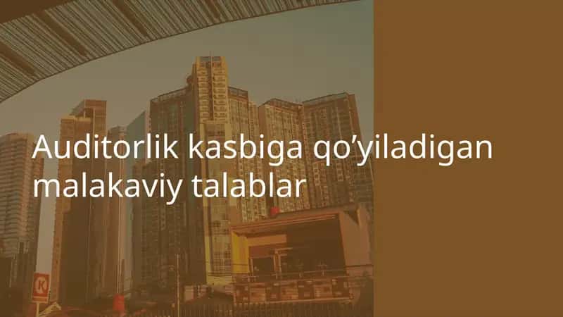 Auditorlik kasbiga qo’yiladigan malakaviy talablar