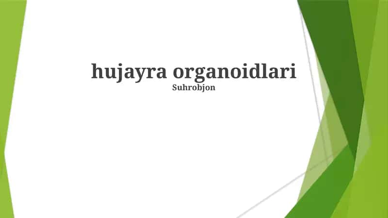 Hujayra Organoidlari