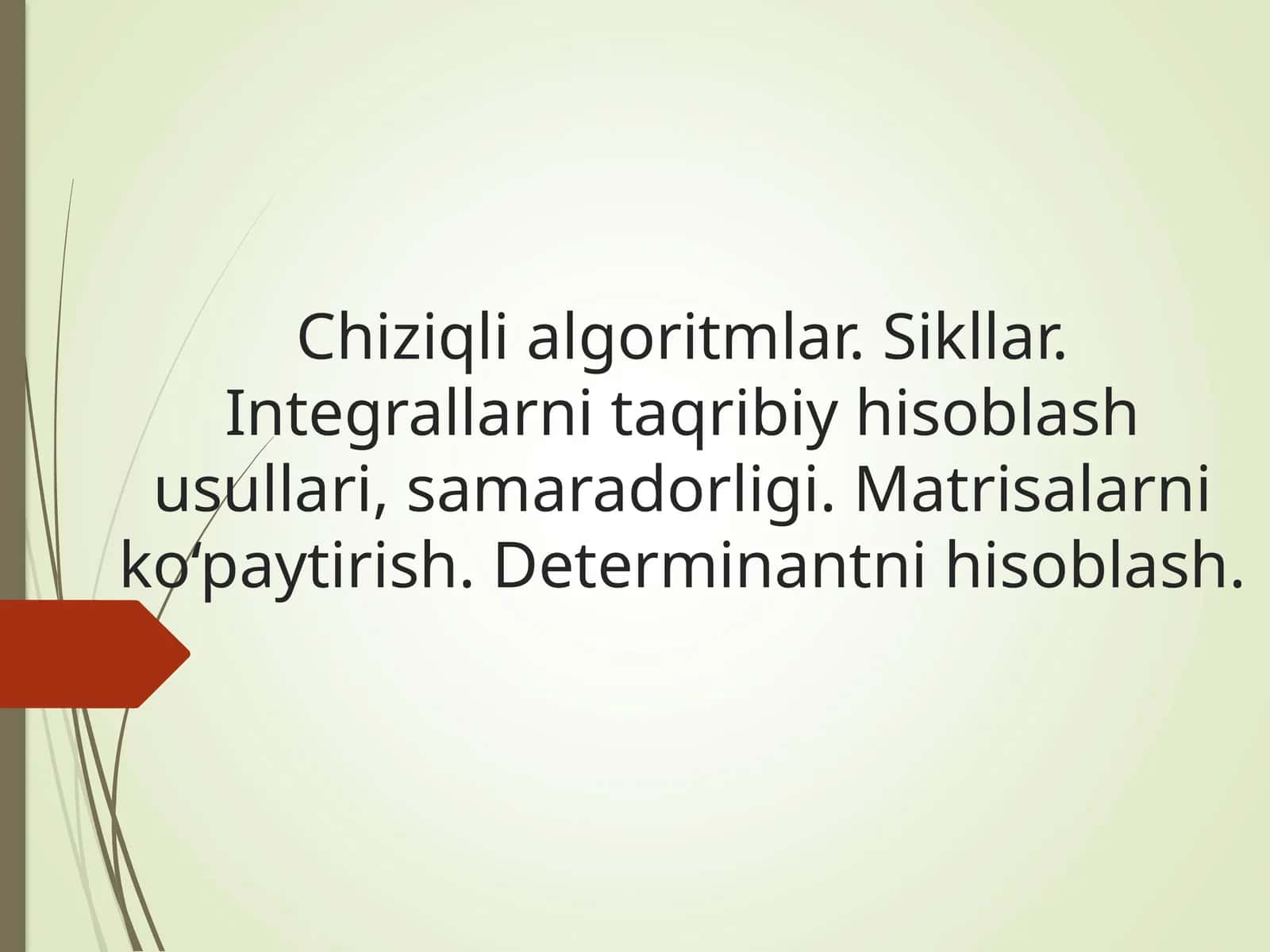 Chiziqli algoritmlar. Sikllar. Integrallarni taqribiy hisoblash usullari, samaradorligi. Matrisalarni ko‘paytirish. Determinantni hisoblash.