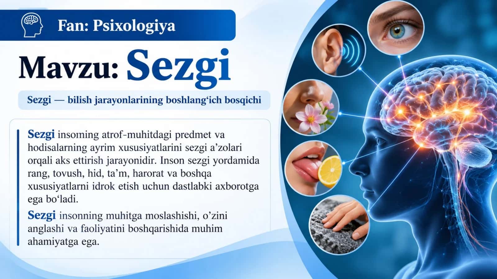 Psixologiya fanidan “Sezgi”.pptx