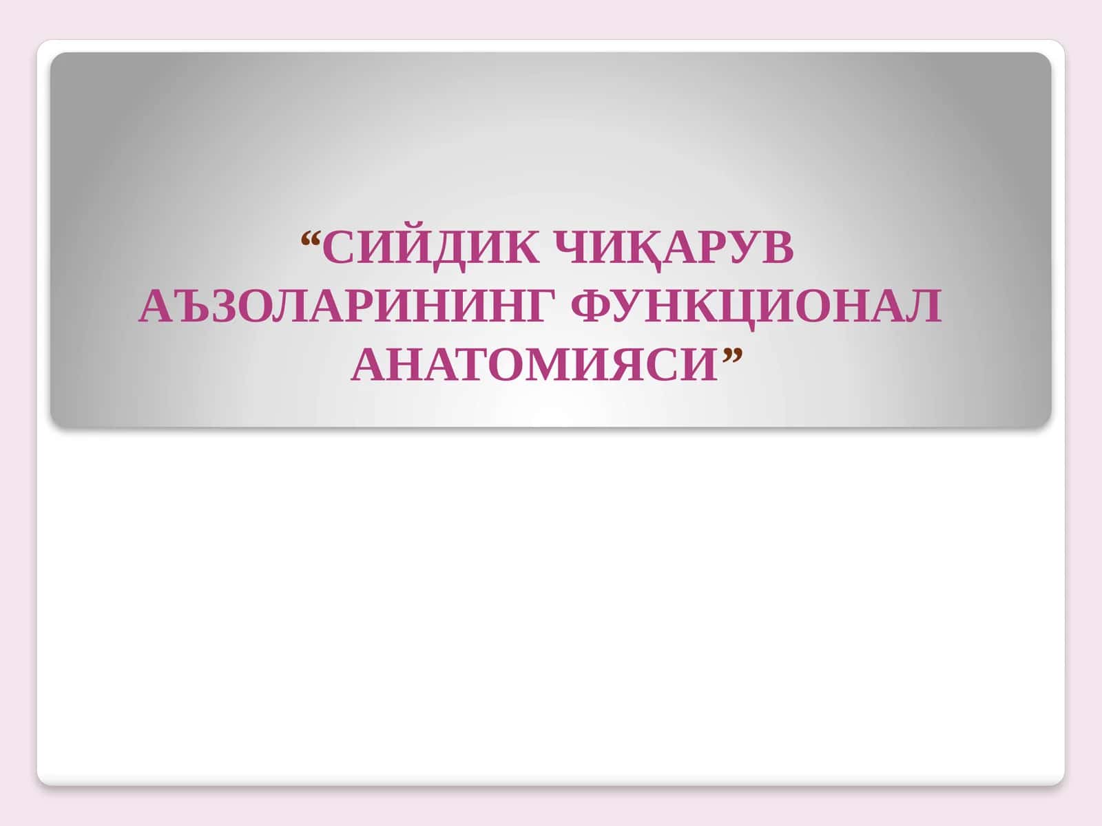 СИЙДИК ЧИҚАРУВ АЪЗОЛАРИНИНГ ФУНКЦИОНАЛ АНАТОМИЯСИ