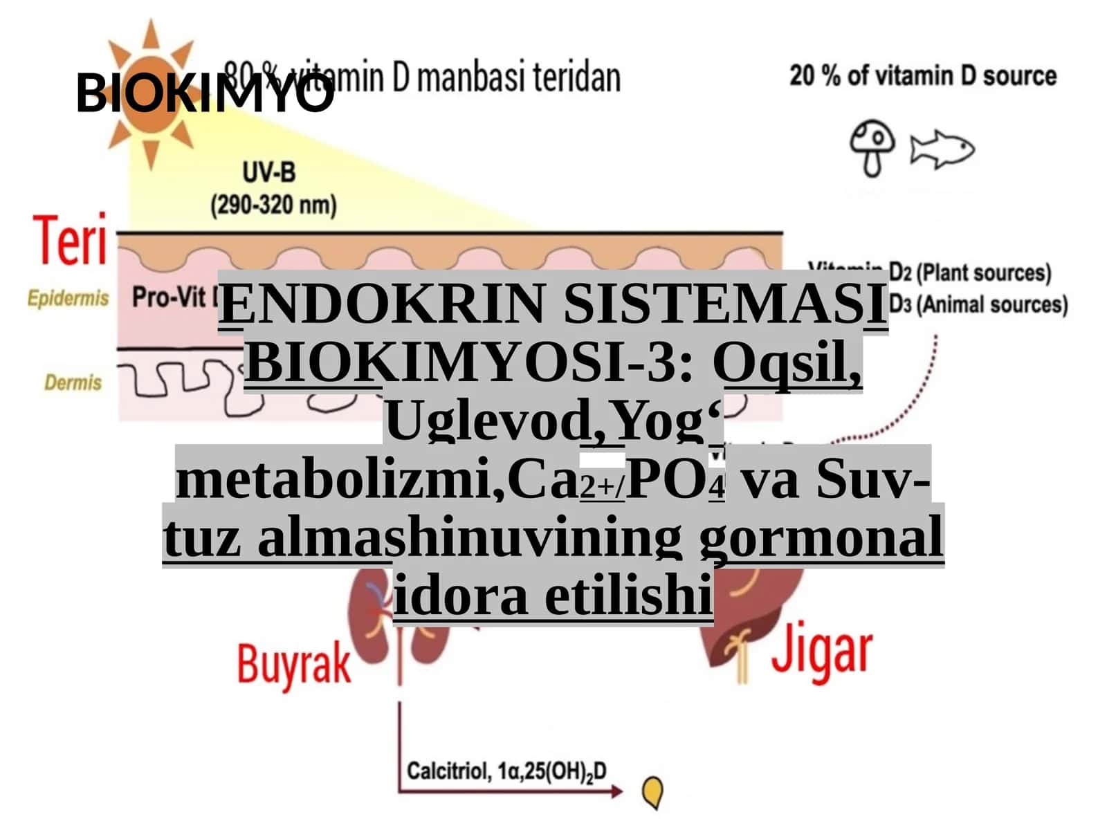 ENDOKRIN SISTEMASI BIOKIMYOSI-3:Oqsil,Uglevod,Yogʻmetabolizmi,Ca2+/PO4vaSuv-tuzalmashinuvininggormonalidoraetilishi