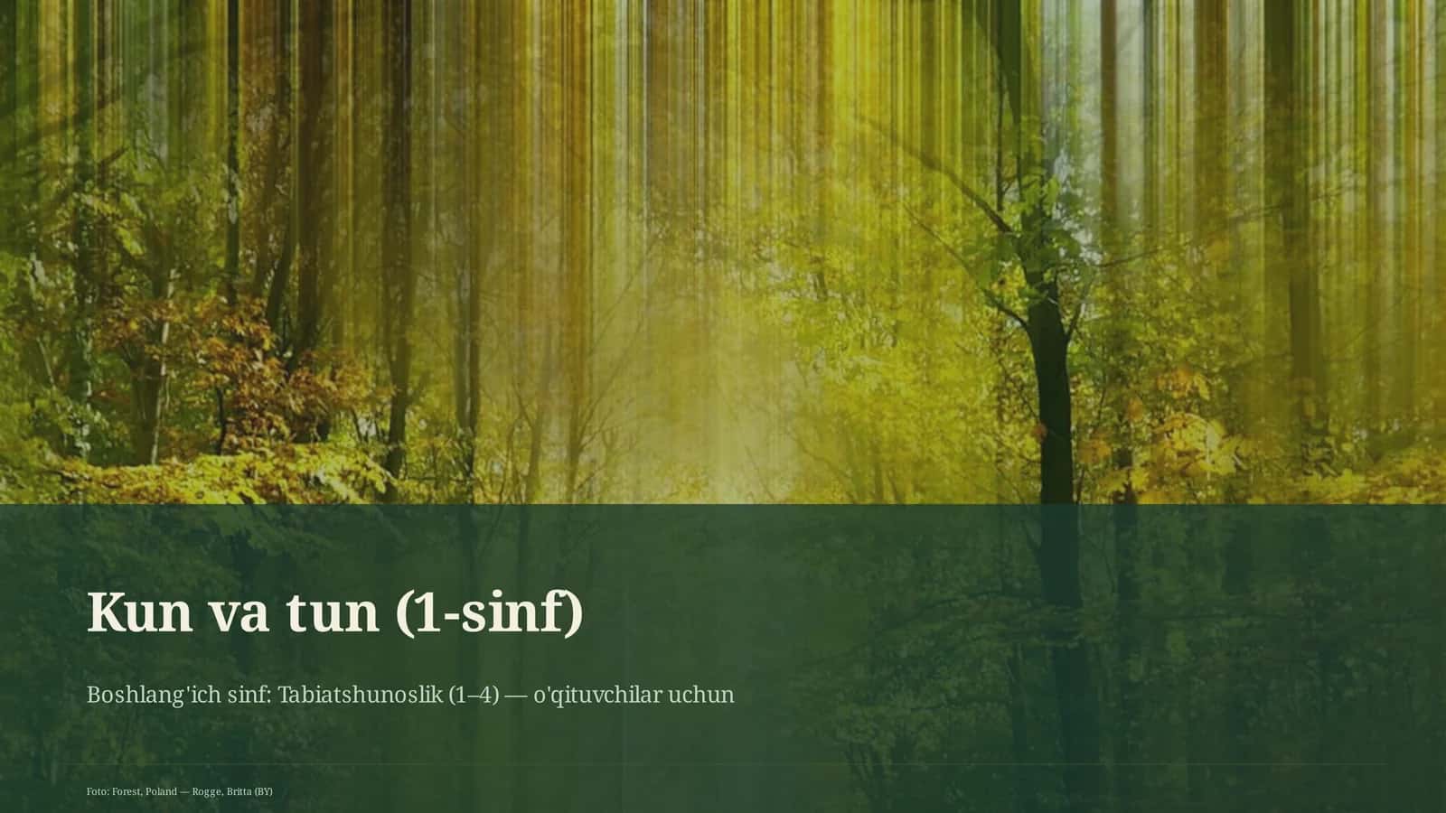 Kun va tun (1-sinf)