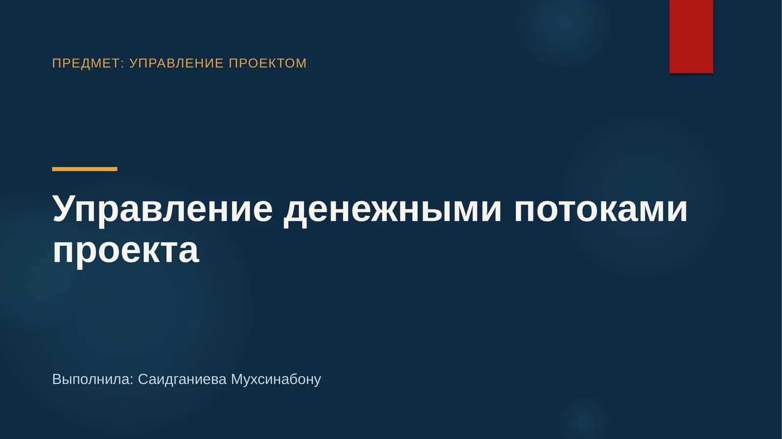 Управление денежными потоками проекта