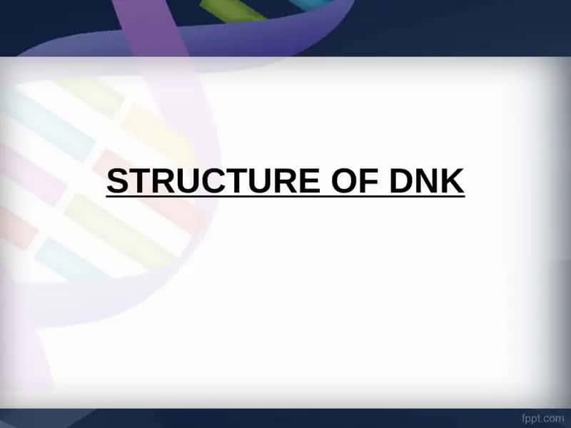 STRUCTURE OF DNK