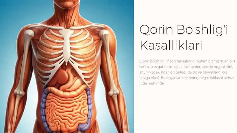 Qorin Bo'shlig'i Kasalliklari