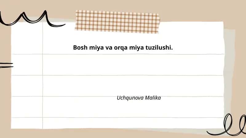 Bosh miya va orqa miya tuzilushi.