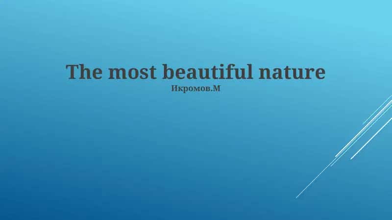 Nature's Palette