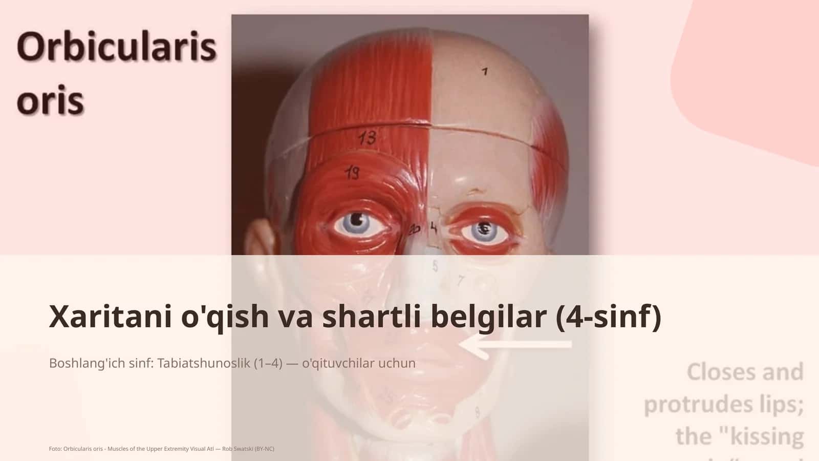 Xaritani o'qish va shartli belgilar (4-sinf)