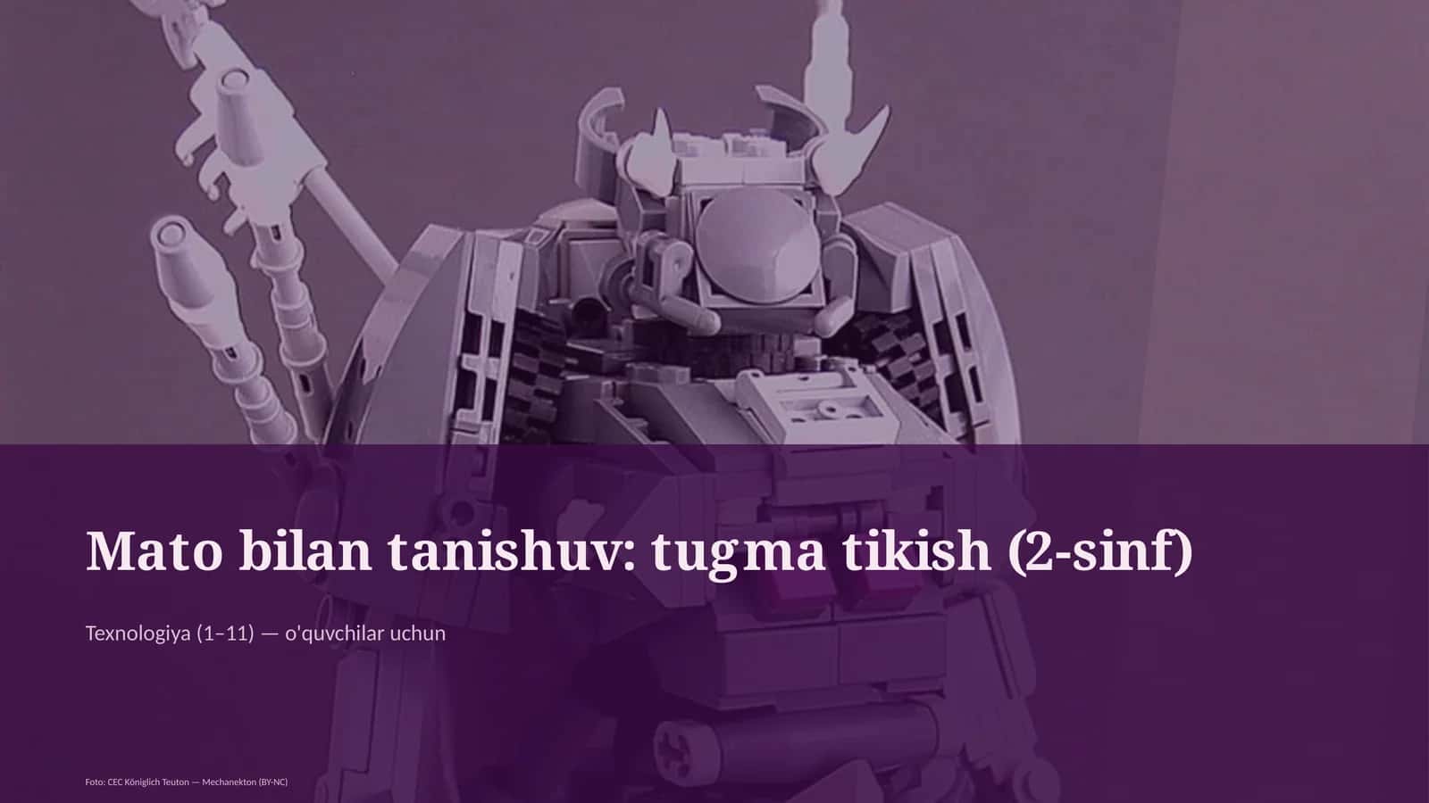 Mato bilan tanishuv: tugma tikish (2-sinf)