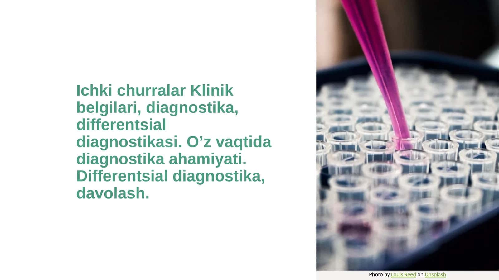 ichki churralar