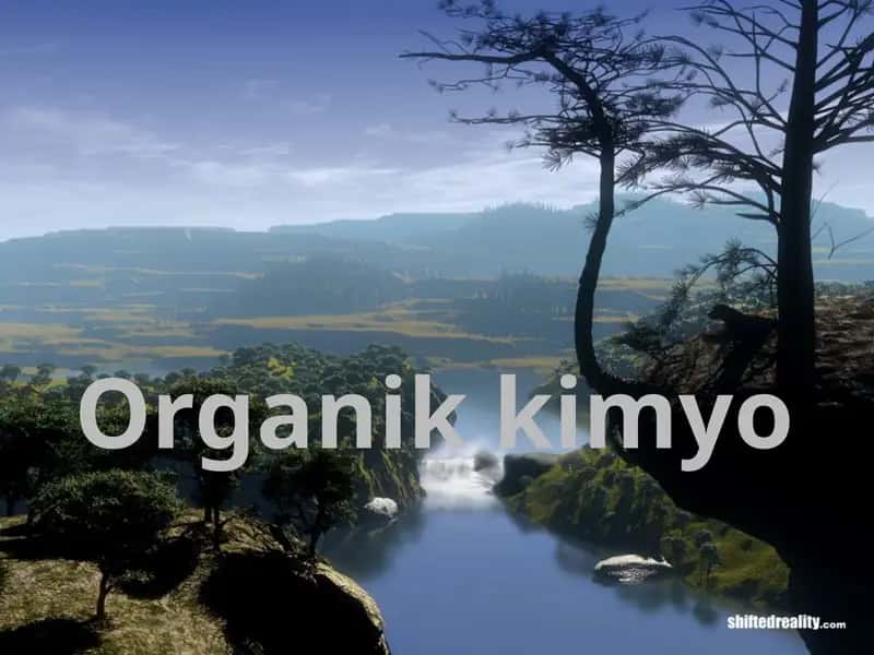 Organikkimyo