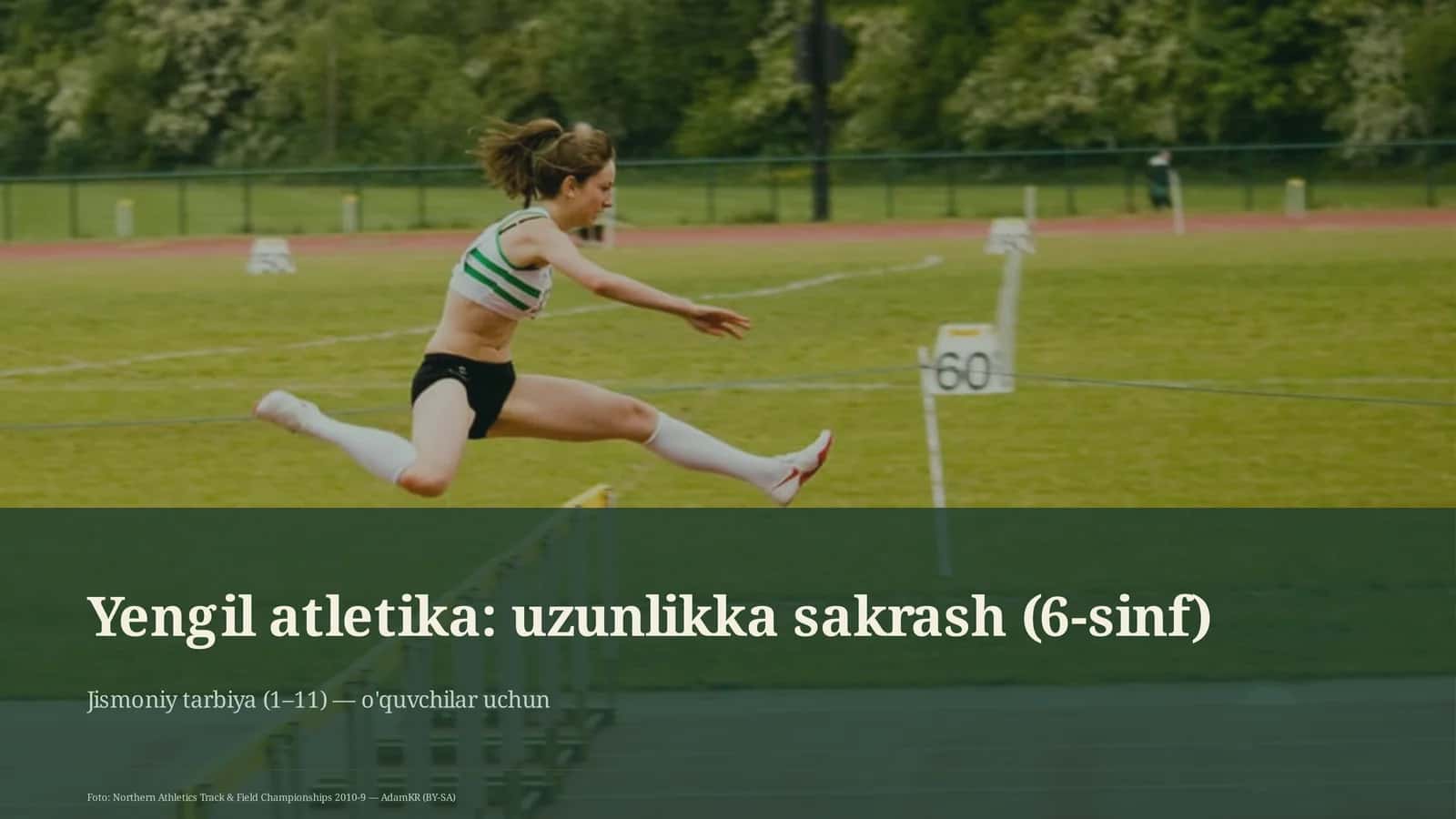 Jismoniy tarbiya (1-11)