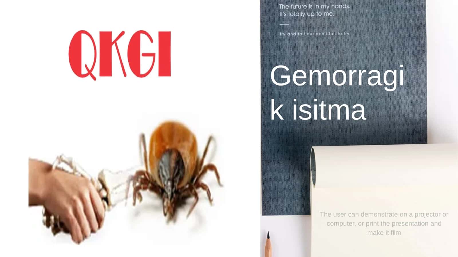 Gemorragik isitma