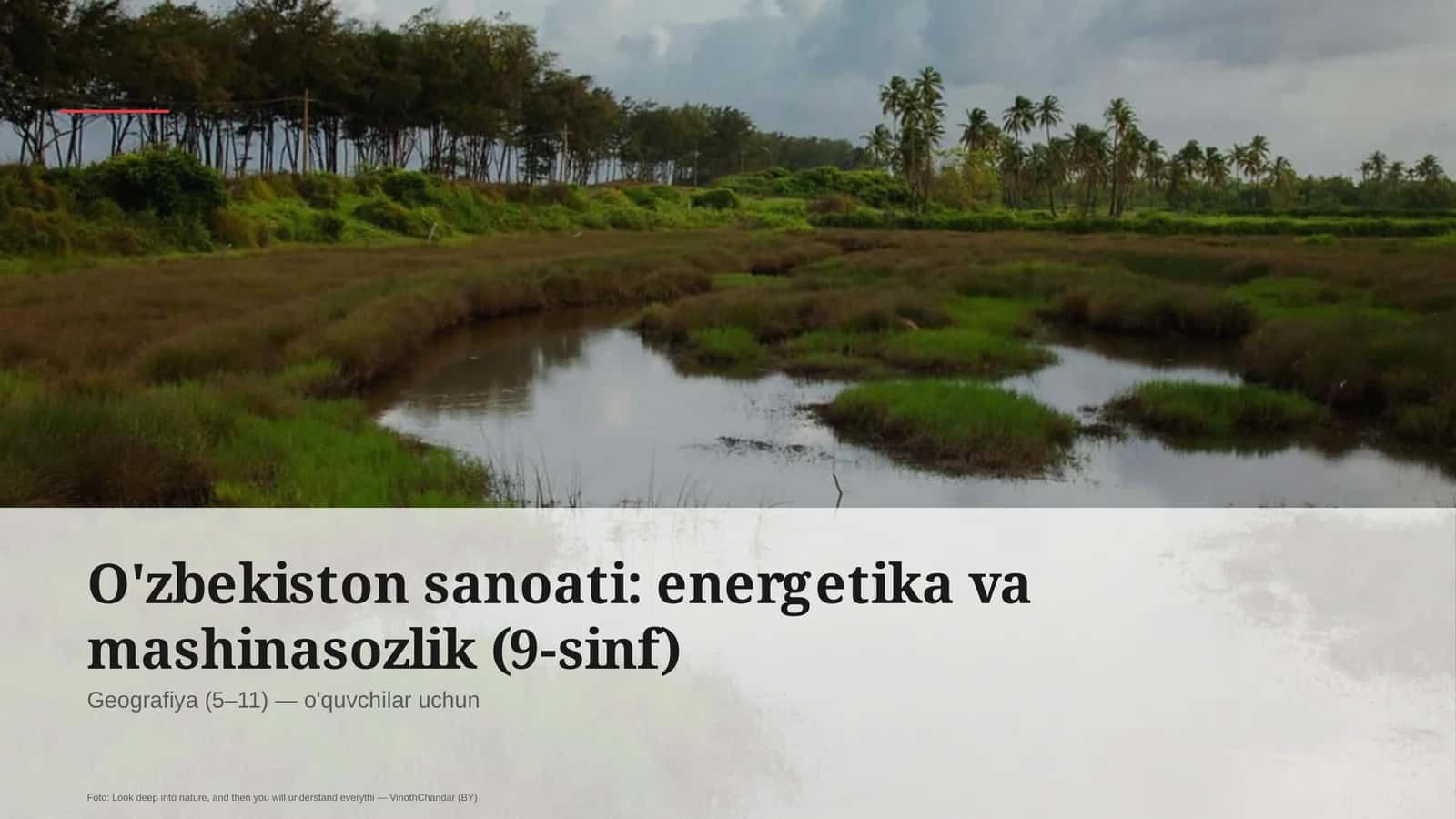 O'zbekiston sanoati: energetika va mashinasozlik (9-sinf)