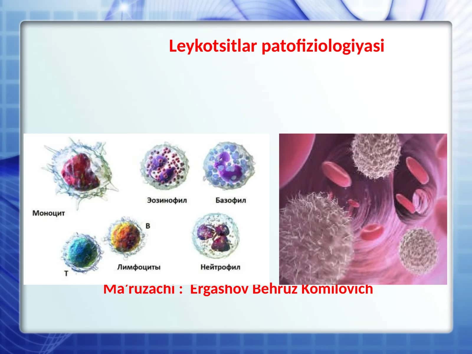 Leykotsitlar patofiziologiyasi