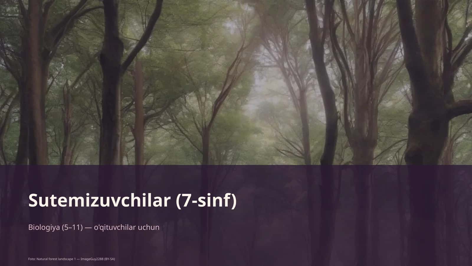 Sutemizuvchilar (7-sinf)