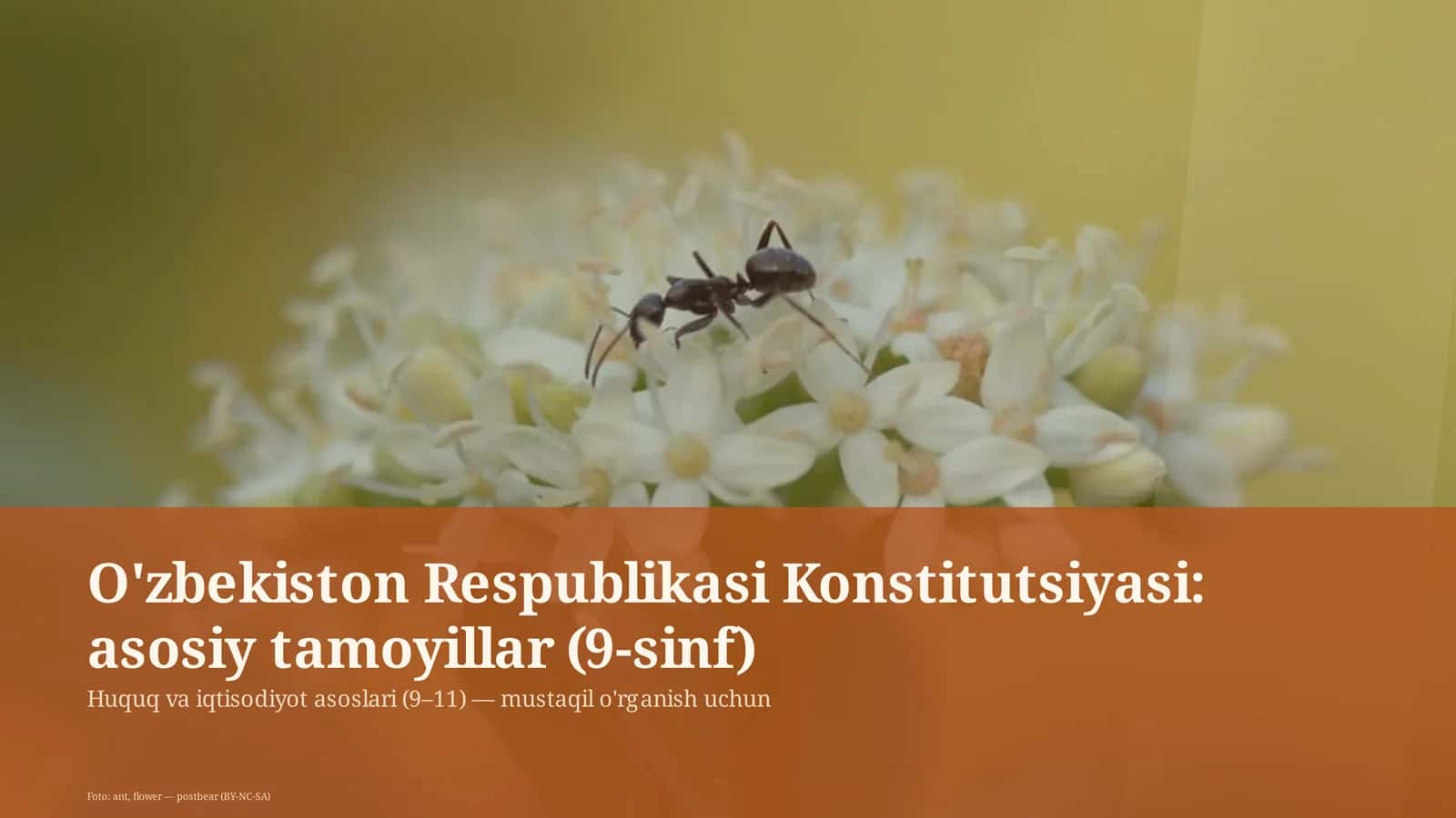 O'zbekiston Respublikasi Konstitutsiyasi: asosiy tamoyillar (9-sinf)