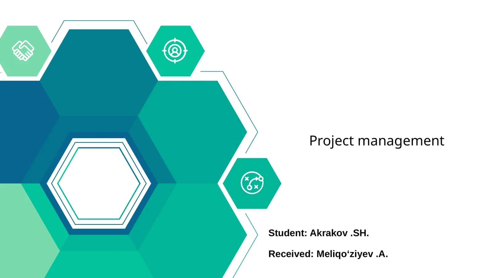 Project management