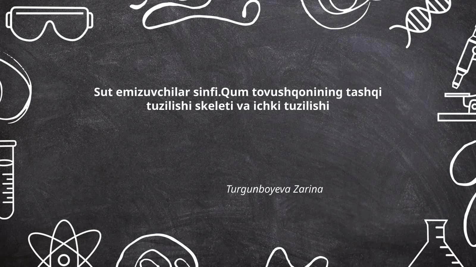 Sut emizuvchilar sinfi va qum tovushqonining umumiy xususiyatlari