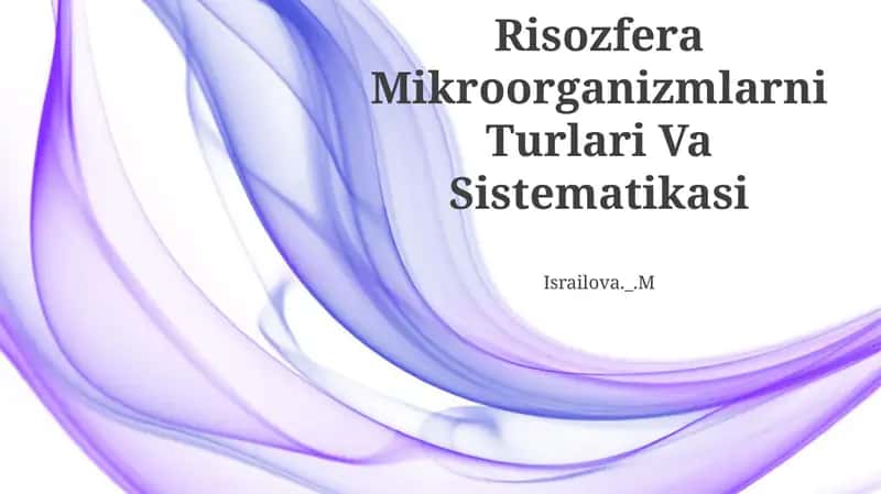 Risozfera Mikroorganizmlarni Turlari Va Sistematikasi