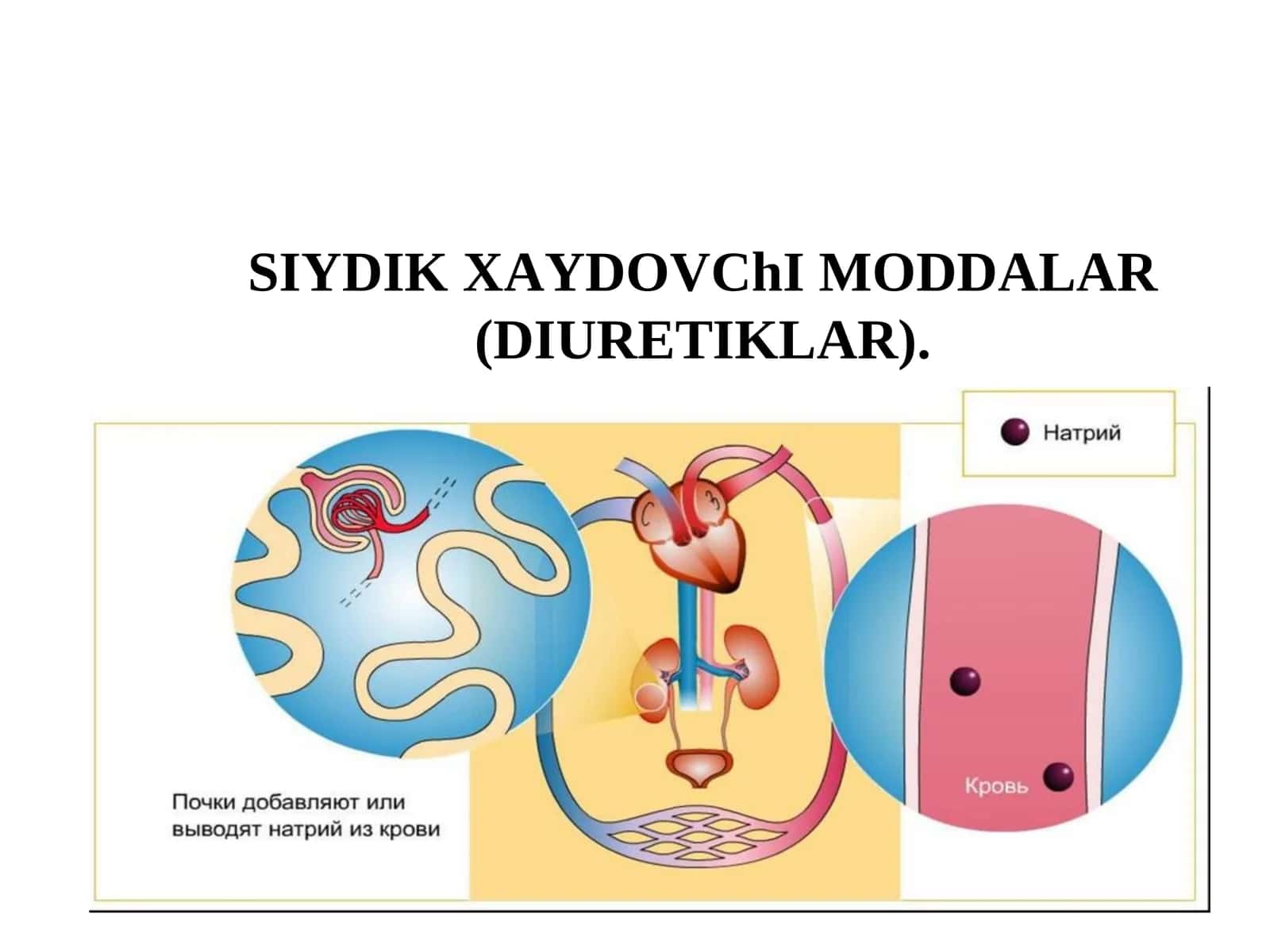 SIYDIK XАYDOVChI MODDАLАR(DIURETIKLАR)