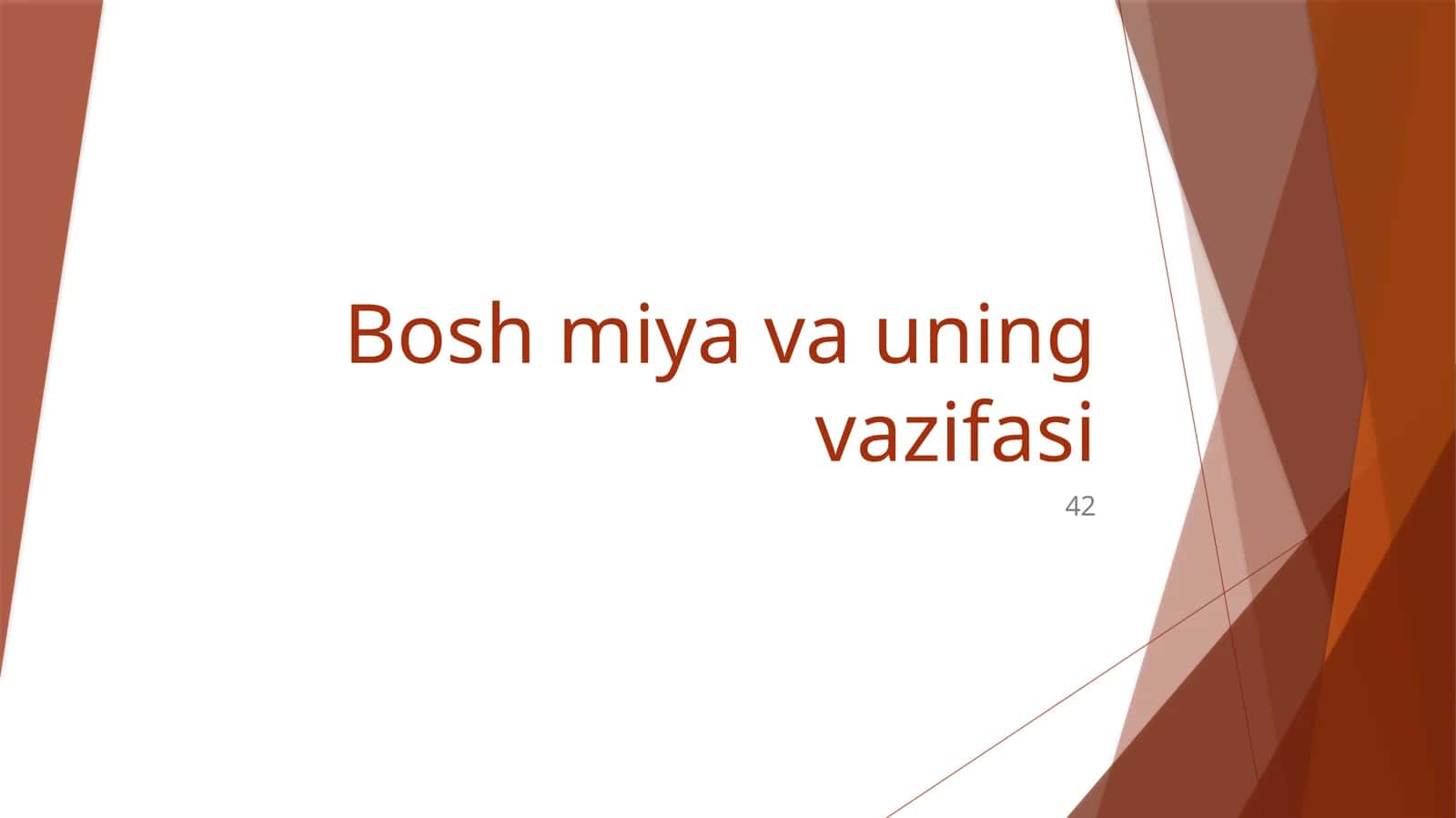 Bosh miya va uning vazifasi