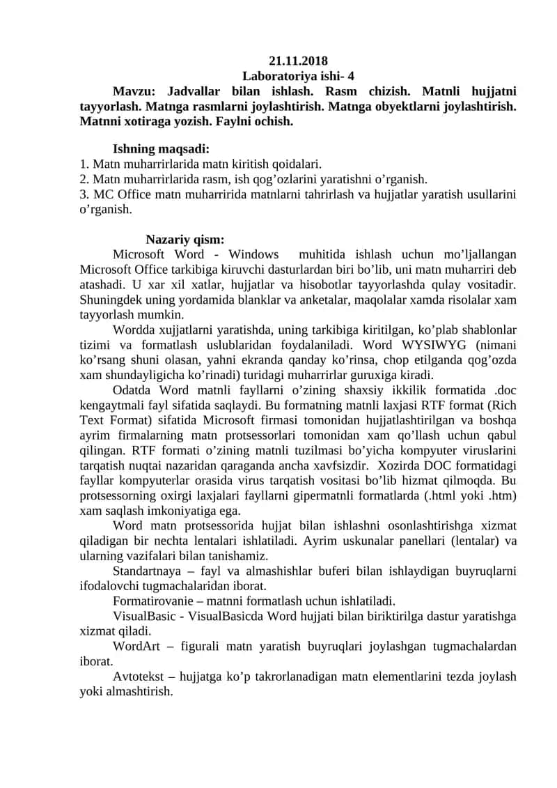 Microsoft Word