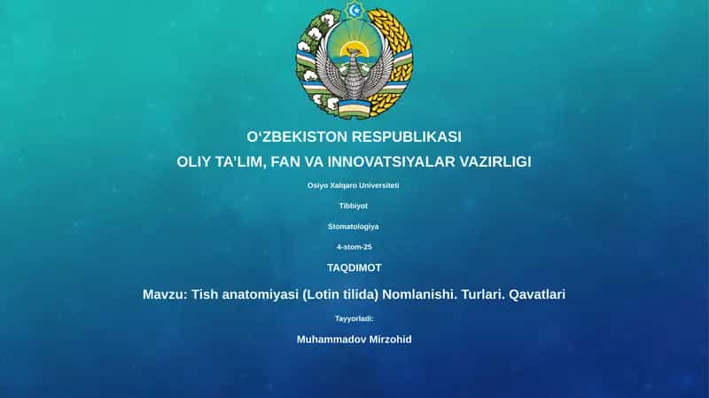 Tish anatomiyasi (Lotin tilida) Nomlanishi. Turlari. Qavatlari