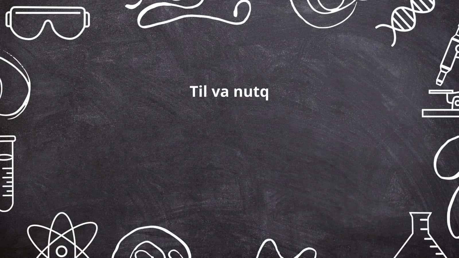 Til va nutq