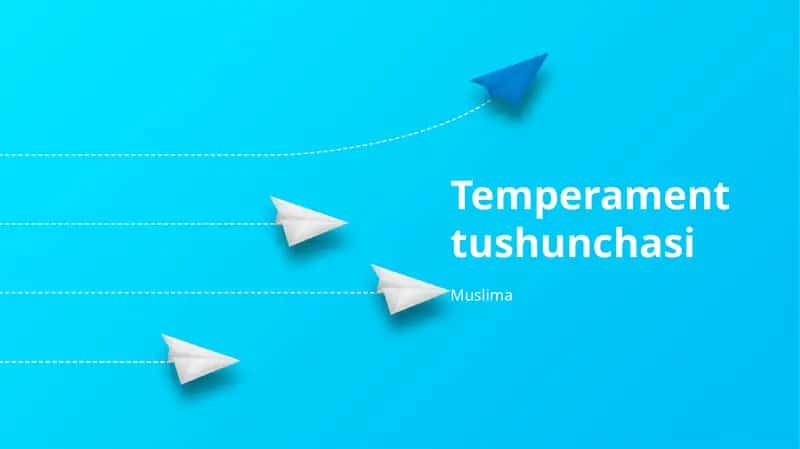 Temperament tushunchasi
