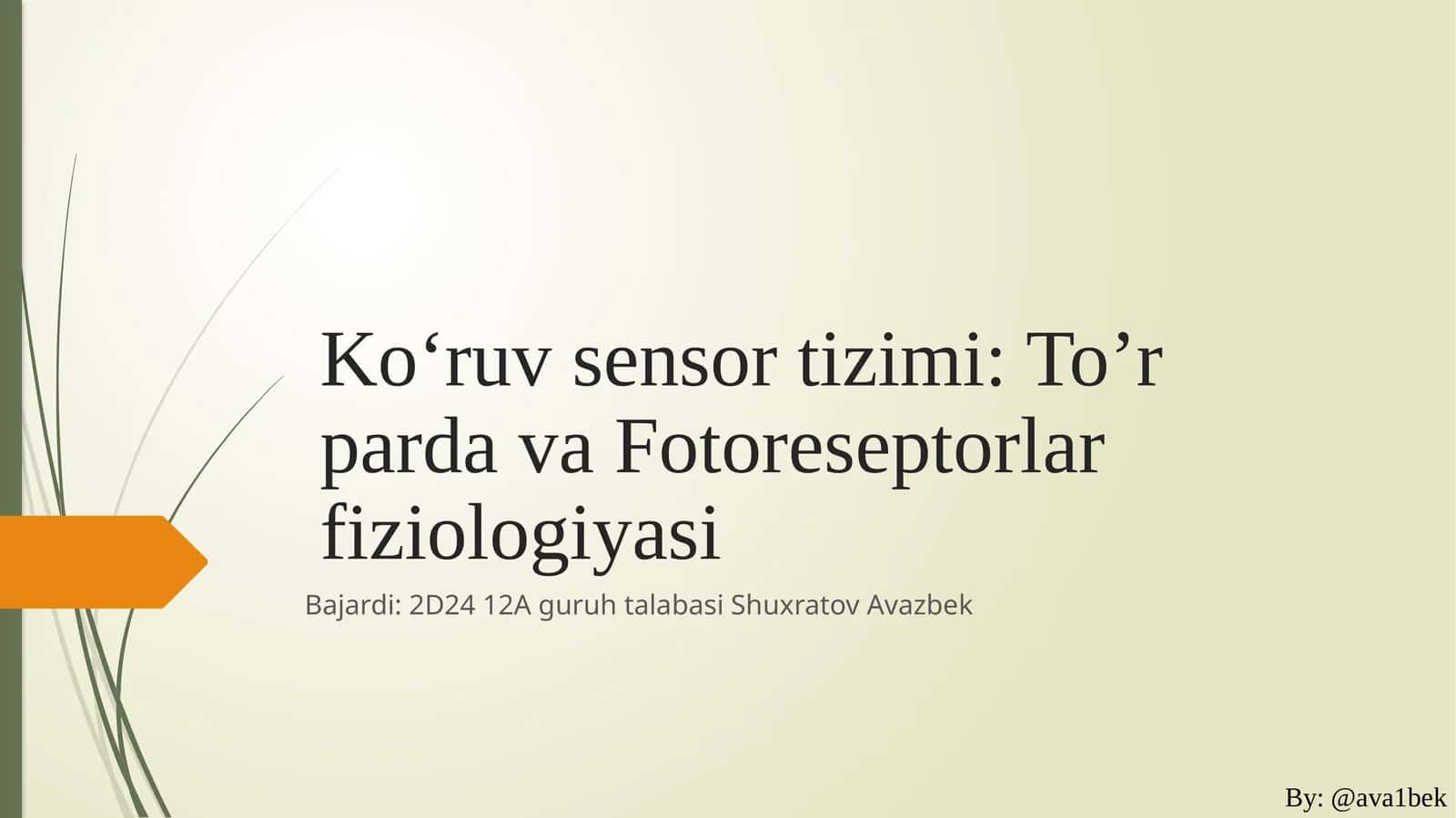 Ko‘ruvsensortizimi:To’rpardavaFotoreseptorlarfiziologiyasi