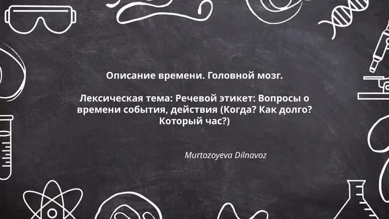 Описание времени. Головной мозг