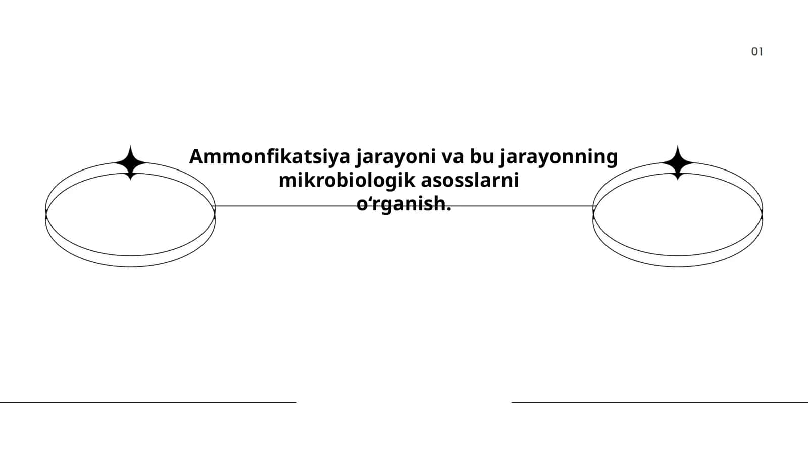 Ammonfikatsiya jarayoni va bu jarayonning mikrobiologik asosslarni o‘rganish