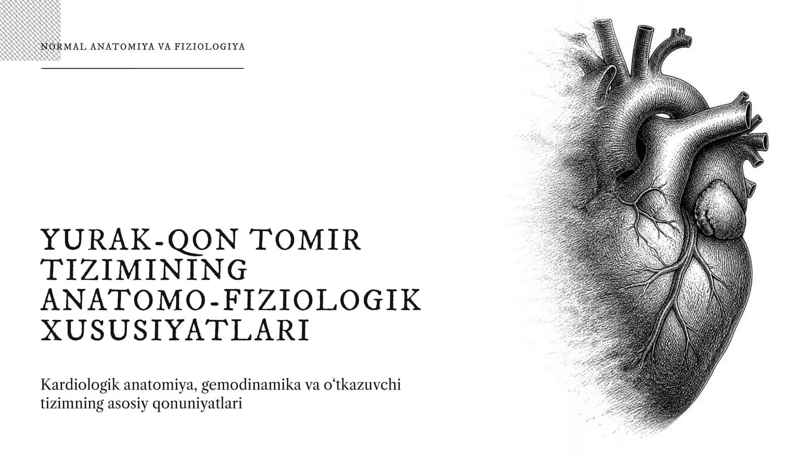 Kardiologik anatomiya, gemodinamika va o‘tkazuvchi tizimning asosiy qonuniyatlari