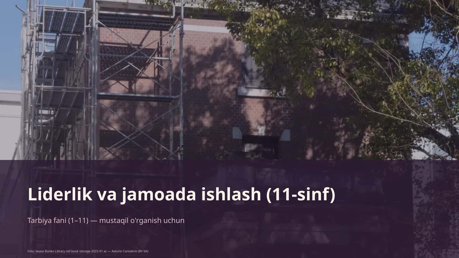 Liderlik va jamoada ishlash (11-sinf)