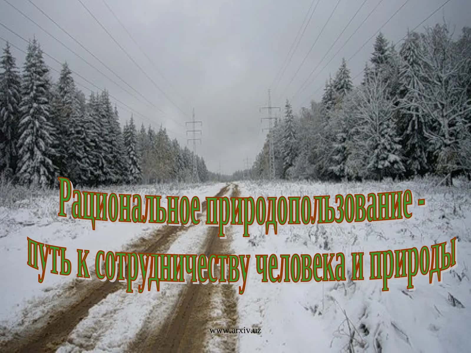Рациональное природопользование - путь к сотрудничеству человека и природы