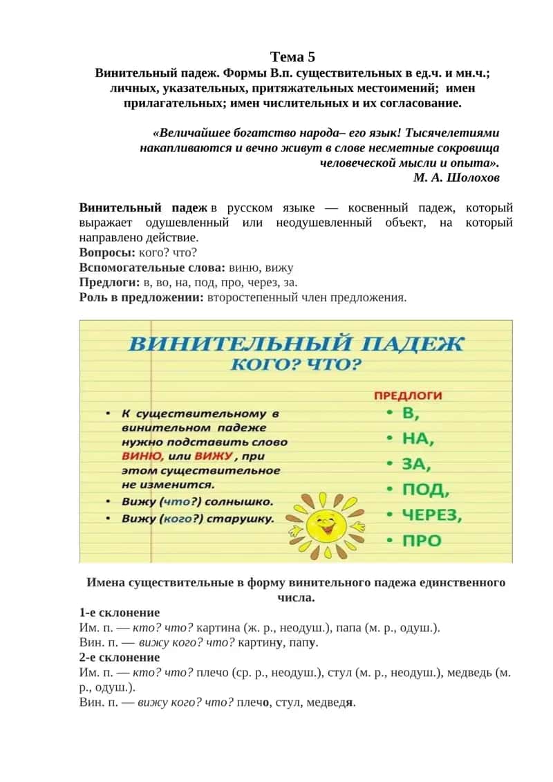 Винительный падеж. Формы В.п. существительных в ед.ч. и мн.ч.;  личных, указательных, притяжательных