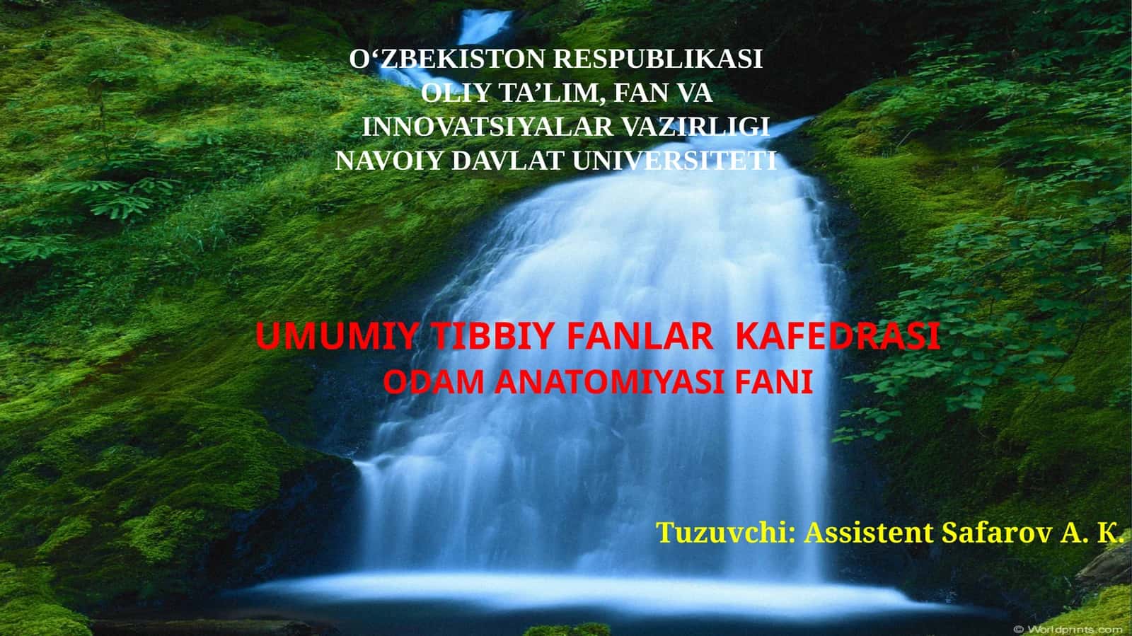 Odam anatomiyasi fani