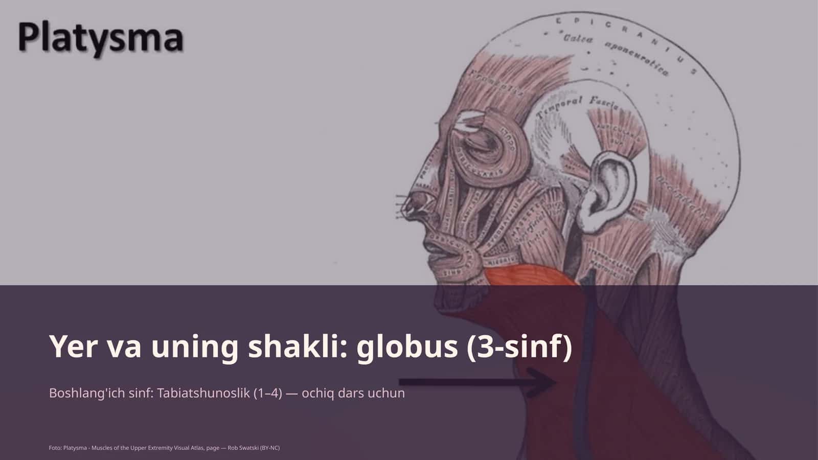Yer va uning shakli: globus (3-sinf)