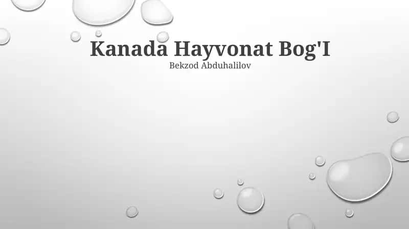Kanada Hayvonat Bog'I