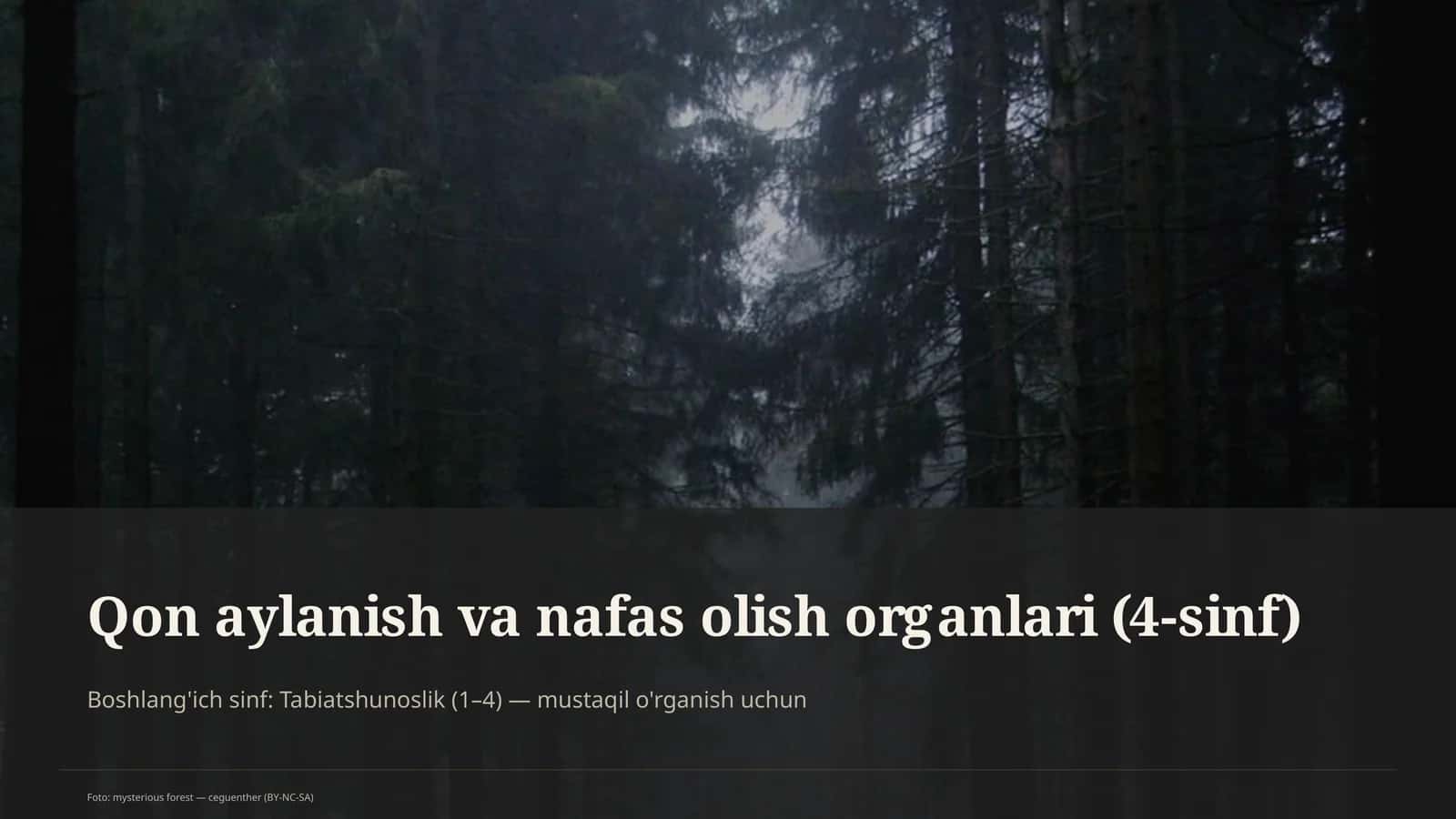 Qon aylanish va nafas olish organlari (4-sinf)