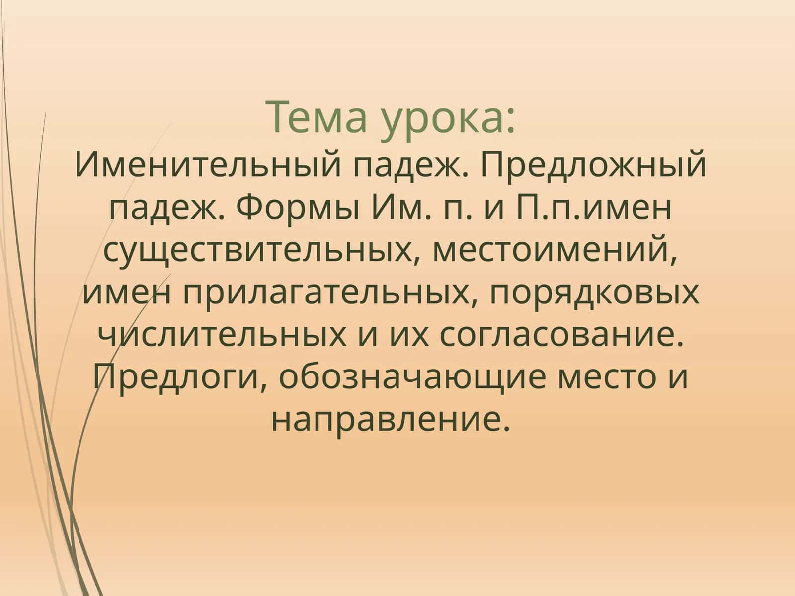 Именительныйпадеж. Предложный падеж