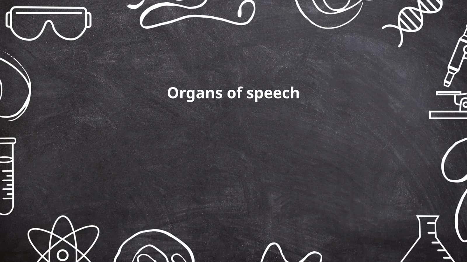 Organs of speech